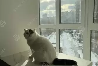 Дизайн-проект отделки лоджии под ключ с объединением кухни и панорамным остеклением